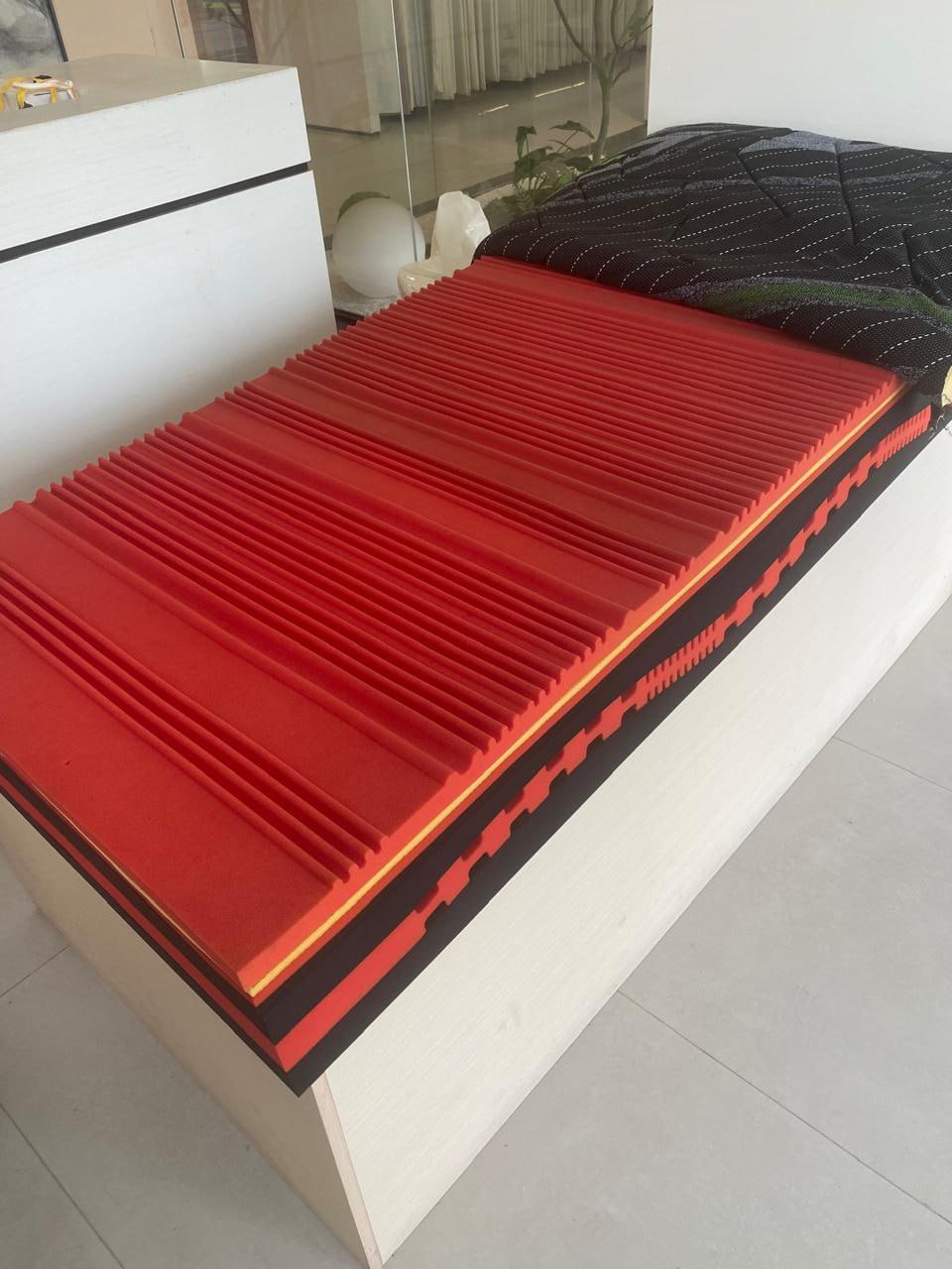 photo_2025-02-26_08-44-15