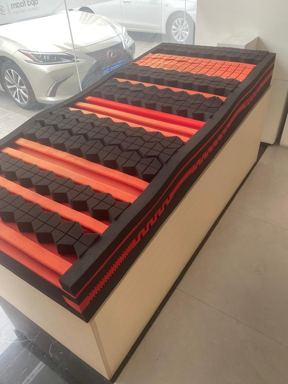 photo_2025-02-26_08-44-18